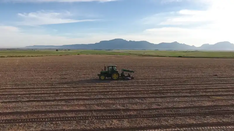 Cape Rooibos farm